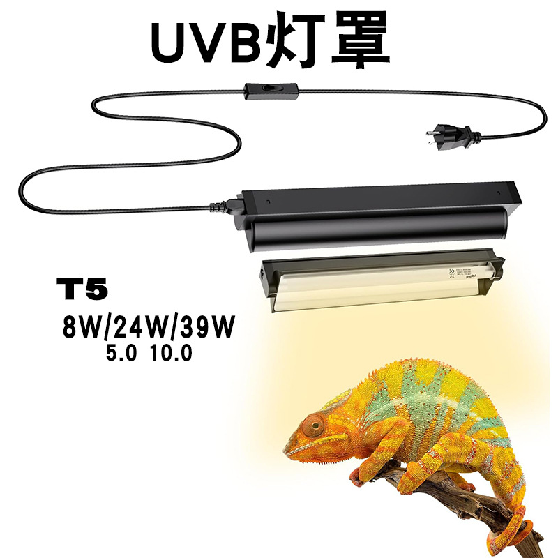 Лампа T5 UVB с интегрированным – обзор и цена Calcium Powder Reptile